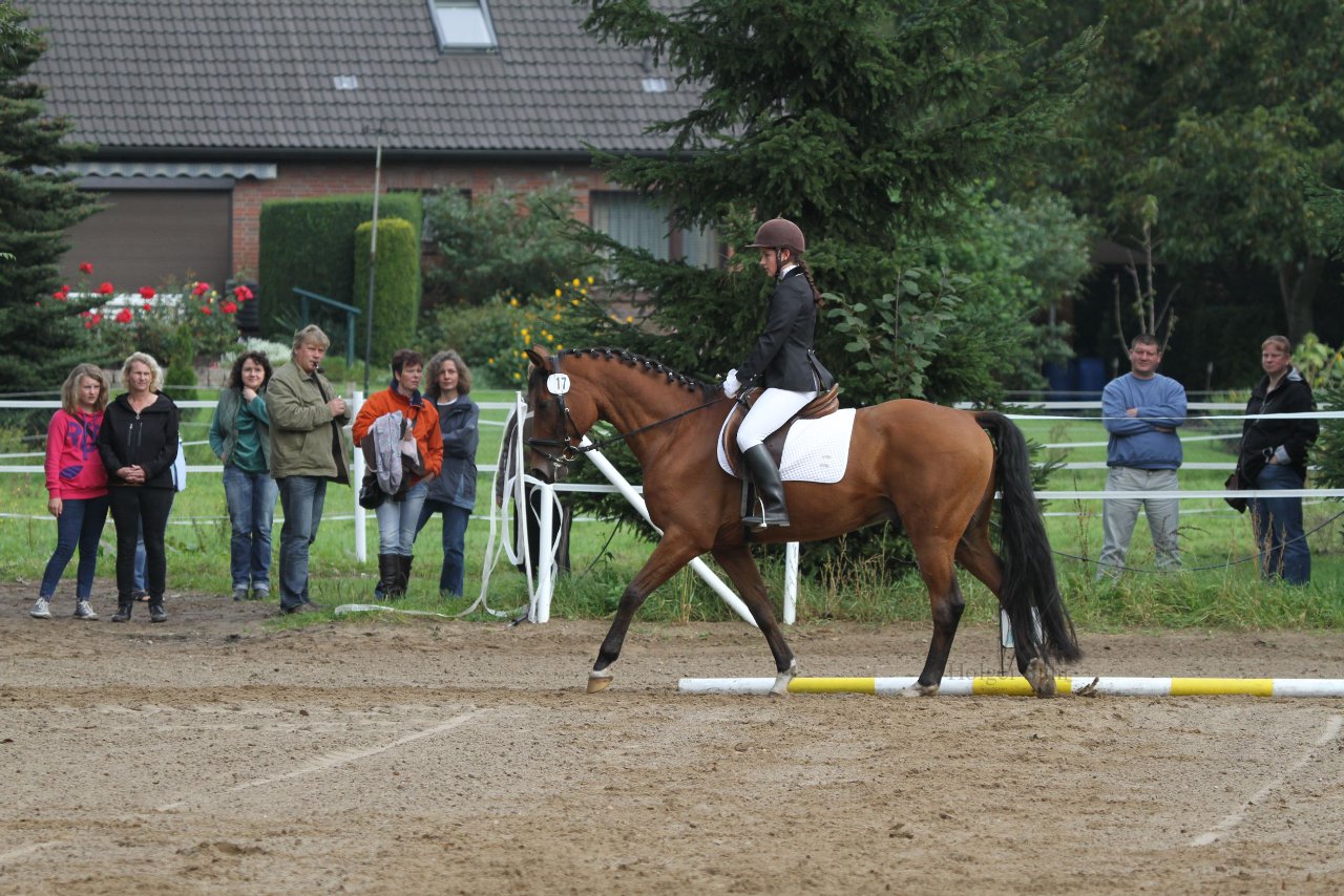 Bild 195 - WBO-Turnier am 18.9.11